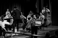 © Geert Maciejewski