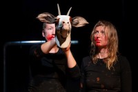 © Lauryn Zoe Hinsch