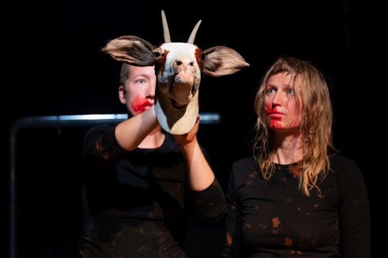 © Lauryn Zoe Hinsch